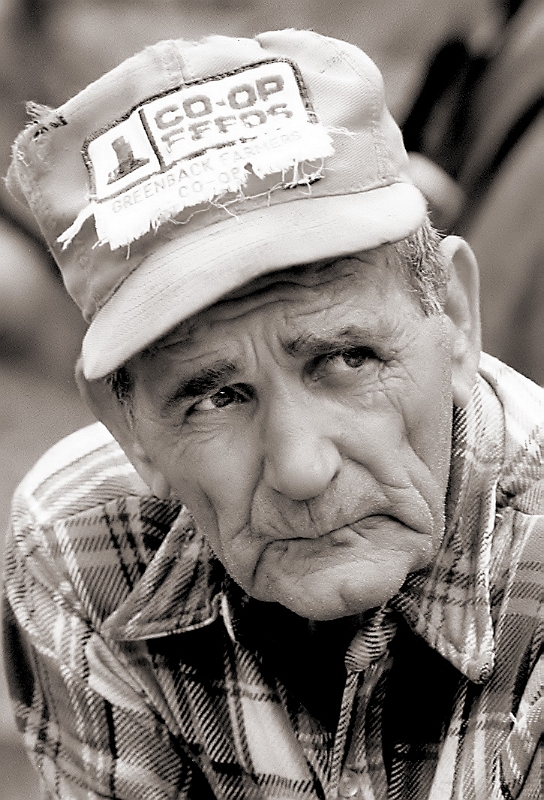 Mule Logger � Dave Hickey